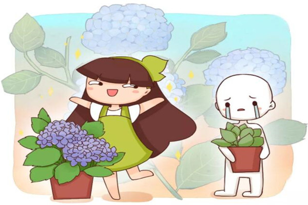 这花比法国香水还好闻,一闻就上瘾,家里满满香味儿! 这花比法国香水还好闻,一闻就上瘾,家里满满香味儿!