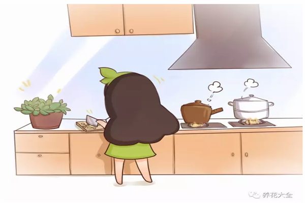生活废料来养花,花壮苗旺顶呱呱! 生活废料来养花,花壮苗旺顶呱呱!