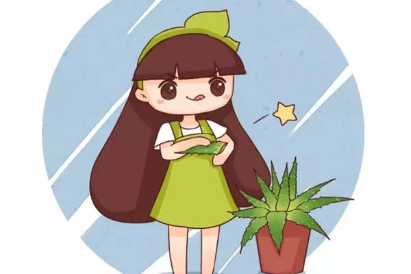 秋天适合养哪些花?这6种花好养又好看! 秋天适合养哪些花?这6种花好养又好看!