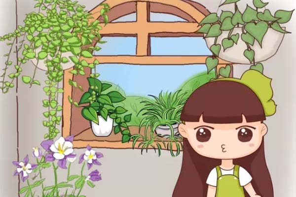 飘窗怎么改造成好看的小花园? 飘窗怎么改造成好看的小花园?