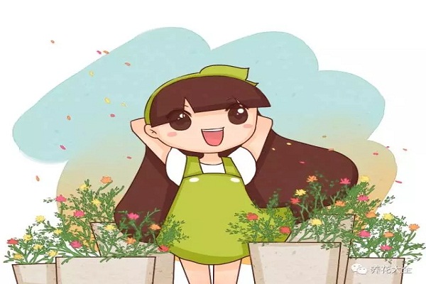 小时候玩儿过的花,你还记得多少? 小时候玩儿过的花,你还记得多少?