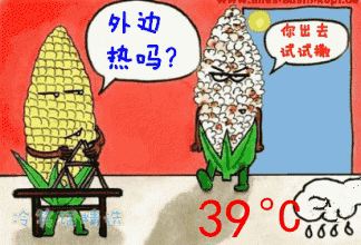 近40℃高温，花再不管，就只剩盆了！