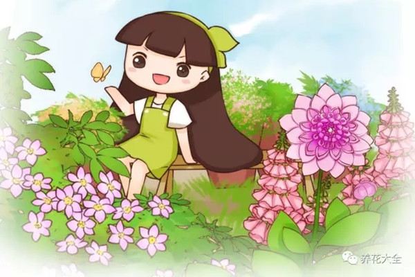 我想种这些爬藤花,都想疯了 我想种这些爬藤花,都想疯了