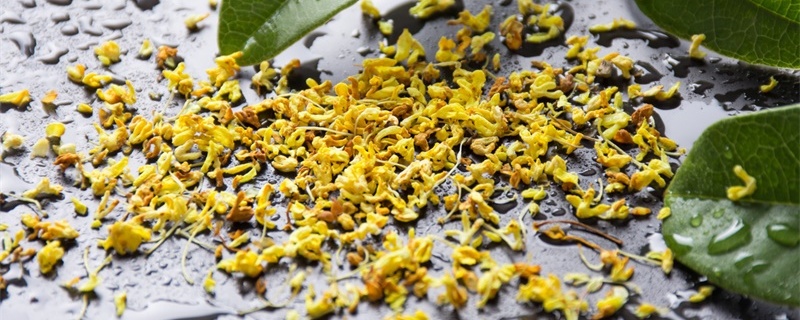 桂花的功效与作用 桂花的功效与作用