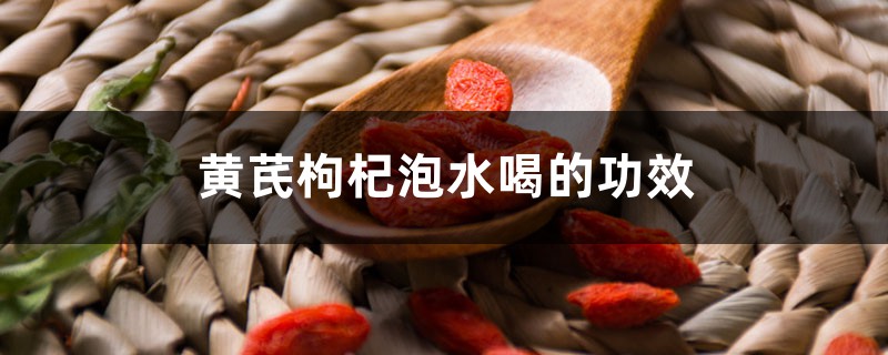 黄芪枸杞泡水喝的功效和禁忌 黄芪枸杞泡水喝的功效和禁忌