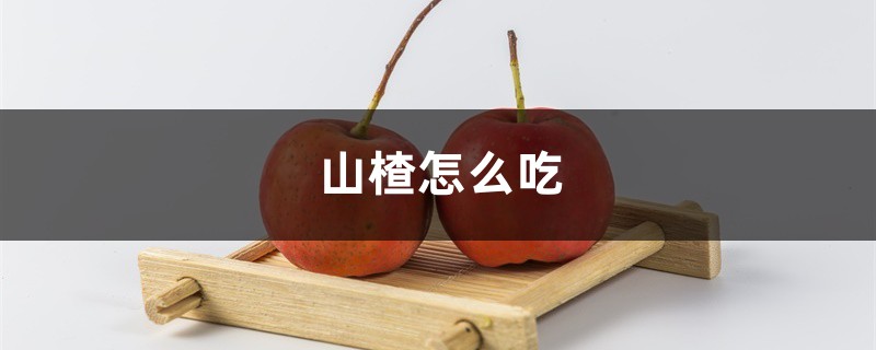 山楂怎么吃,小孩子能吃山楂吗 山楂怎么吃,小孩子能吃山楂吗