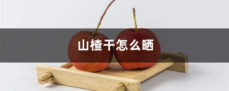 山楂干怎么晒,山楂晒干后怎么吃 山楂干怎么晒,山楂晒干后怎么吃