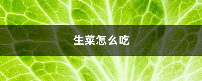 生菜怎么吃，怎么做