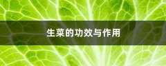 生菜的功效、作用与禁忌