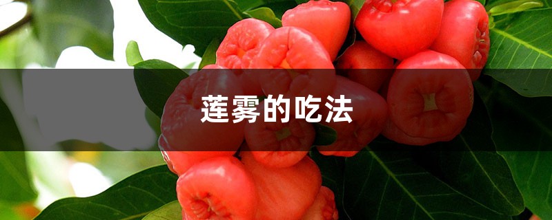 莲雾好吃吗，（吃法介绍）