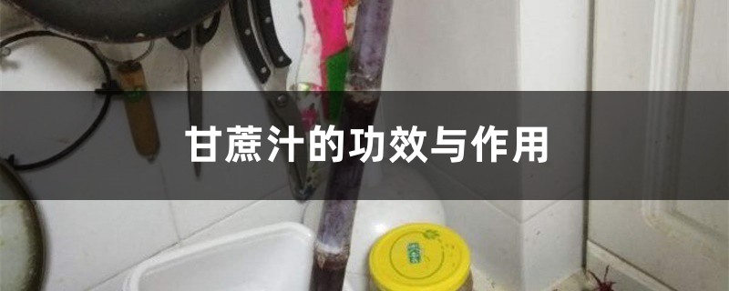 甘蔗汁的功效与作用，甘蔗汁怎么做