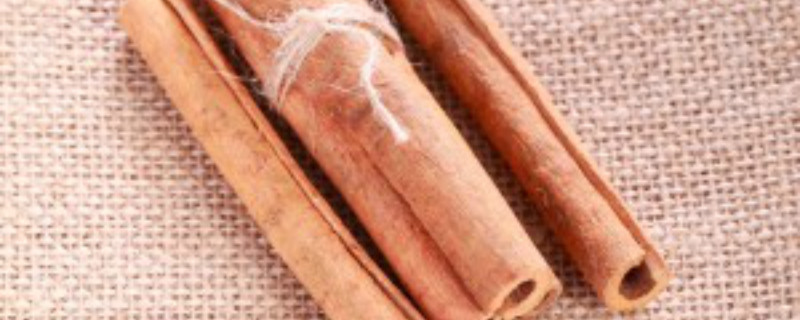 肉桂是什么东西,肉桂的功效 肉桂是什么东西,肉桂的功效