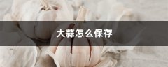 大蒜怎么保存，发了芽的大蒜能吃吗