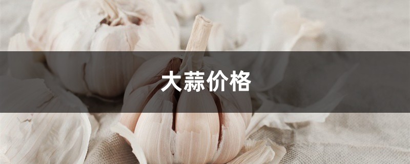 大蒜价格,大蒜多少钱一斤 大蒜价格,大蒜多少钱一斤