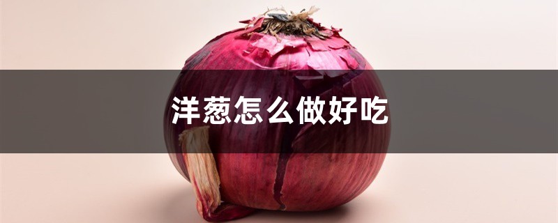 洋葱怎么做好吃,洋葱的做法 洋葱怎么做好吃,洋葱的做法