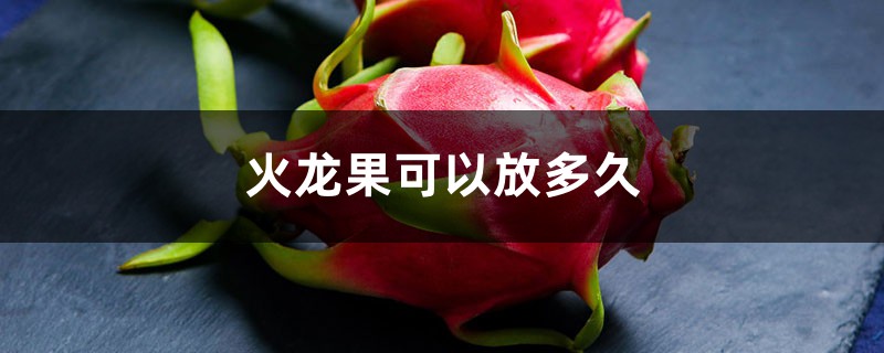火龙果可以放多久,火龙果吃多了会怎么样 火龙果可以放多久,火龙果吃多了会怎么样
