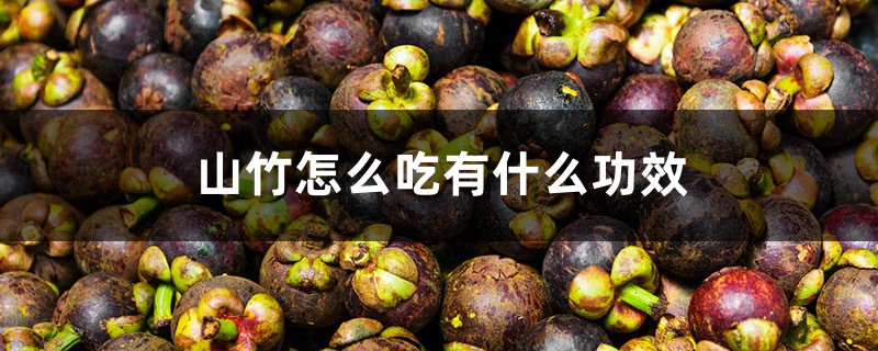 山竹怎么吃有什么功效,山竹里面的核能吃吗 山竹怎么吃有什么功效,山竹里面的核能吃吗