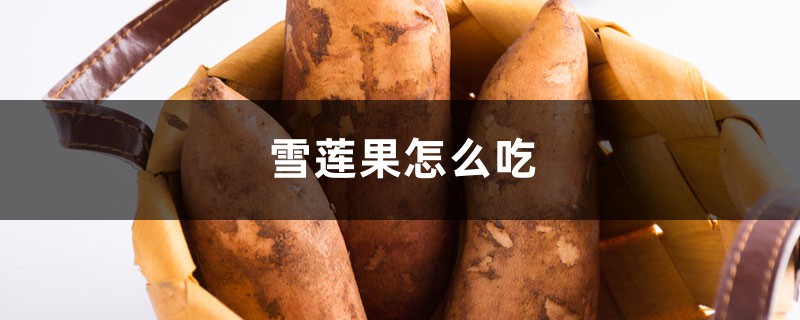 雪莲果怎么吃,雪莲果的做法大全 雪莲果怎么吃,雪莲果的做法大全