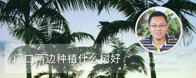门口两边种植什么树好 门口两边种植什么树好