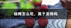 杨梅怎么吃，属于发物吗