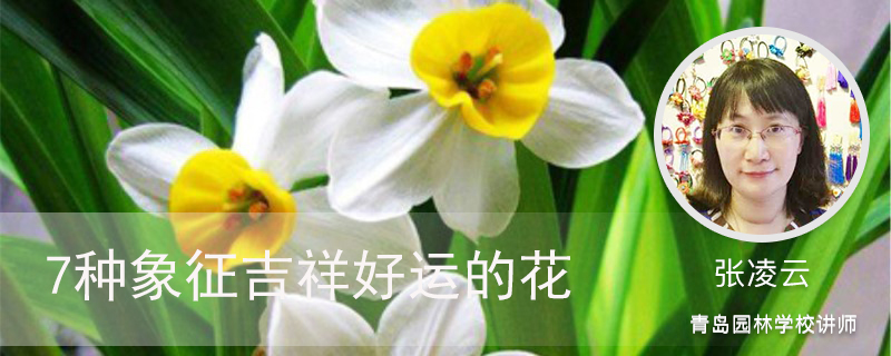 7种象征吉祥好运的花 7种象征吉祥好运的花
