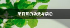 茉莉茶的功效与禁忌