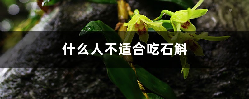 什么人不适合吃石斛 什么人不适合吃石斛