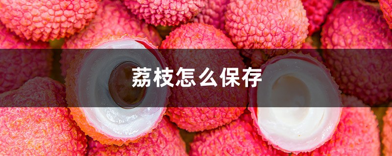 荔枝怎么保存 荔枝怎么保存