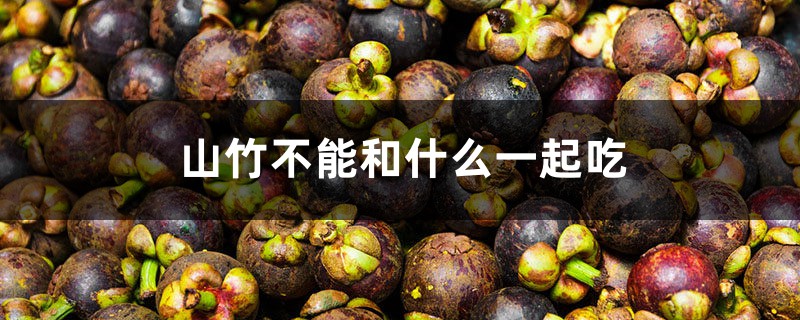 山竹不能和什么一起吃 山竹不能和什么一起吃