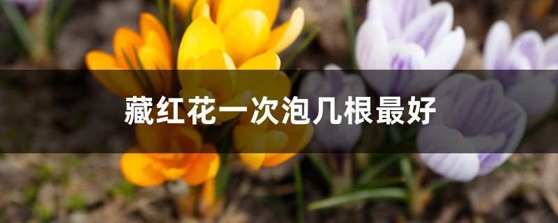 藏红花一次泡几根最好 藏红花一次泡几根最好