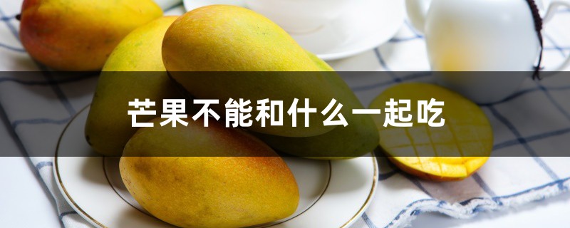芒果不能和什么一起吃 芒果不能和什么一起吃