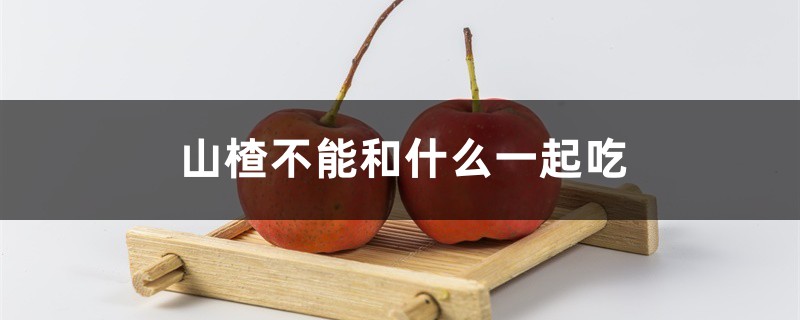 山楂不能和什么一起吃 山楂不能和什么一起吃