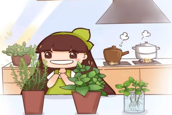 这8种花,夏天泡水喝,连药钱都省了! 这8种花,夏天泡水喝,连药钱都省了!
