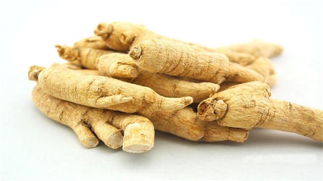西洋参的功效与作用 西洋参的功效与作用
