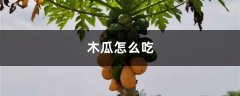 木瓜怎么吃