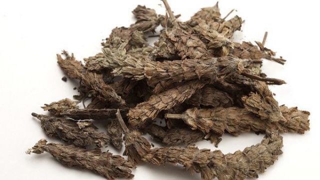 夏枯草的功效与作用 夏枯草的功效与作用
