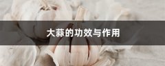 大蒜的功效与作用