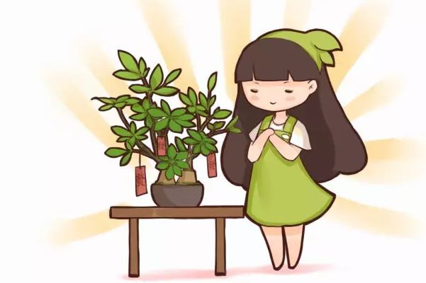 20种花草的风水意义,让你财源广进! 20种花草的风水意义,让你财源广进!