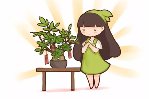 30种植物的风水意义,养花人必看 30种植物的风水意义,养花人必看