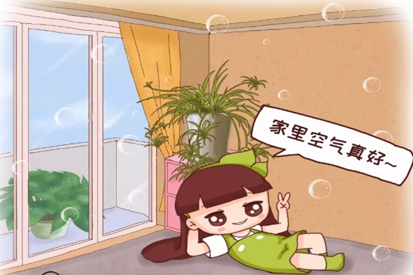 屋外雾霾,屋里氧吧,全靠不起眼的它! 屋外雾霾,屋里氧吧,全靠不起眼的它!