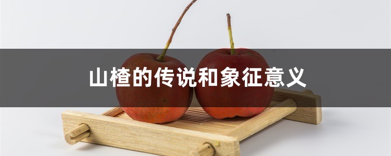 山楂的传说和象征意义 山楂的传说和象征意义