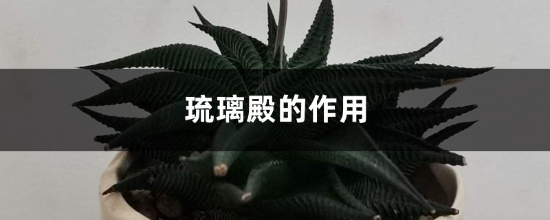 琉璃殿的作用 琉璃殿的作用