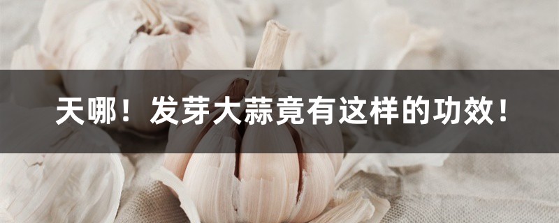 天哪!发芽大蒜竟有这样的功效! 天哪!发芽大蒜竟有这样的功效!
