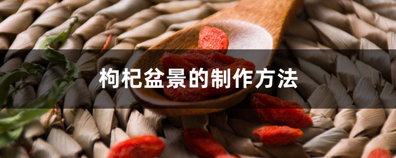 枸杞盆景的制作方法 枸杞盆景的制作方法