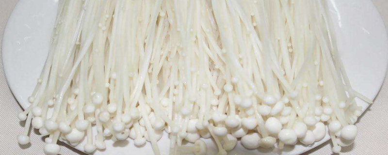 金针菇根部怎么再发芽(再次生长小妙招) 金针菇根部怎么再发芽(再次生长小妙招)