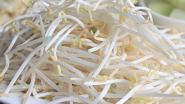 给豆子洒点水,3天就长成豆芽,炒菜好滋味! 给豆子洒点水,3天就长成豆芽,炒菜好滋味!