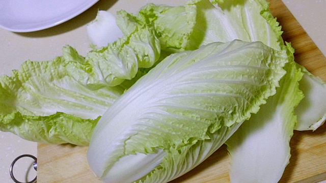 九月种植什么蔬菜 九月种植什么蔬菜