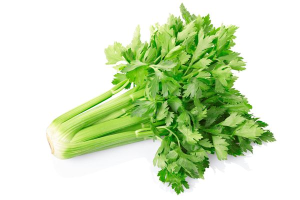 阳台芹菜的种植方法 阳台芹菜的种植方法