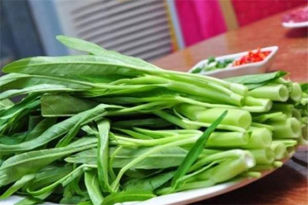 「阳台种菜视频」通心菜 「阳台种菜视频」通心菜