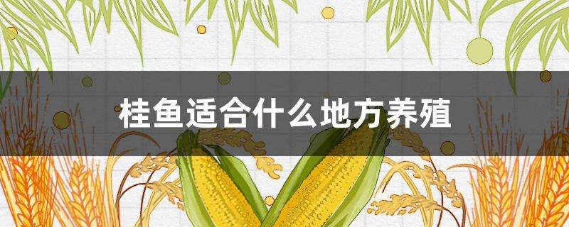 桂鱼适合什么地方养殖 桂鱼适合什么地方养殖